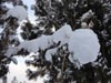 Next picture :: Wallpaper - Quetta Snowfall January 2012 (9) - 4608 x 3456